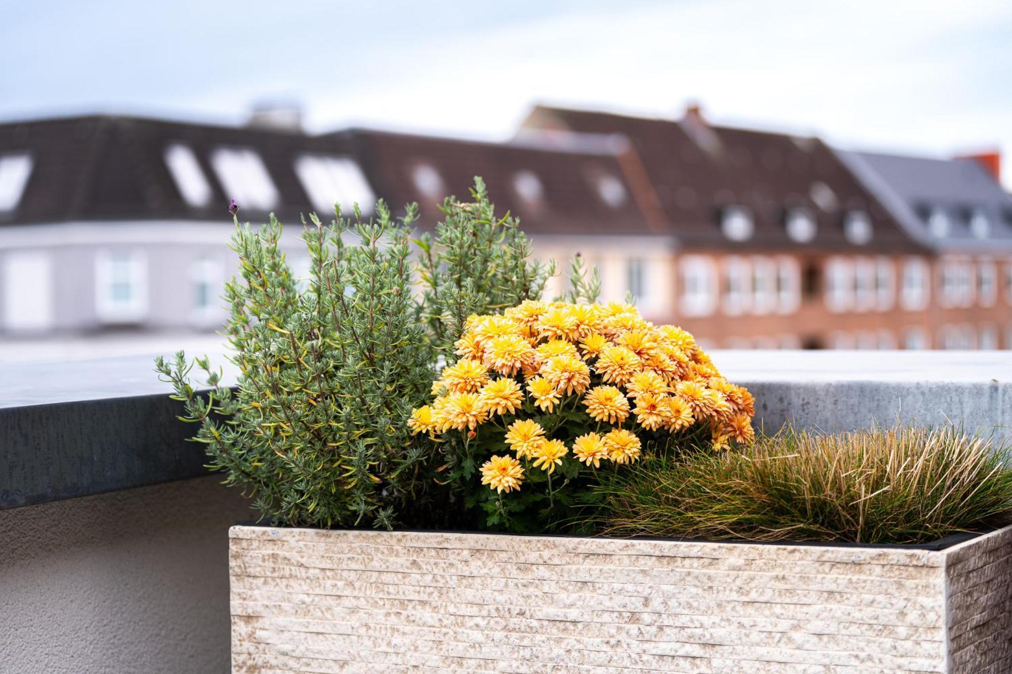 Ferienwohnung Foerdeterrasse Nahe Kiellinie Exterior foto